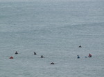 SX06997 Surfers waiting for waves at Bude.jpg